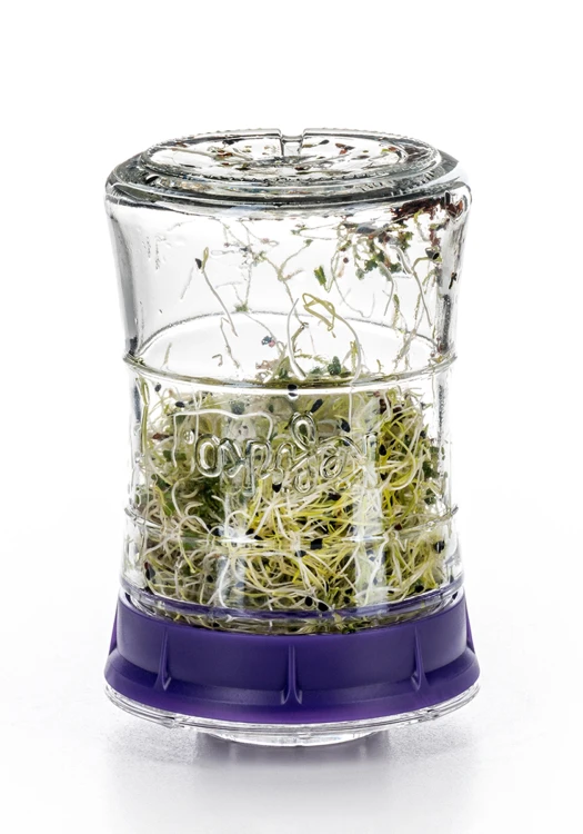 kefir-fermenter-kielkowanie-kielki.webp